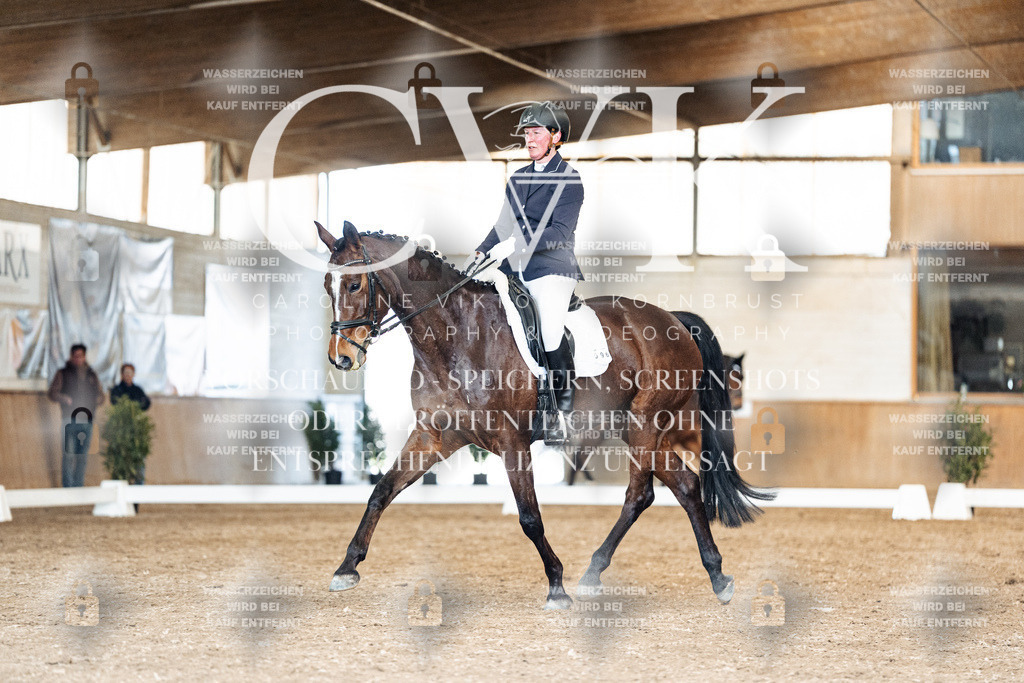 CK901356 | Turnierfotografie Pferdefotografie Trier Rheinland-Pfalz Pferdesport Reitsport Tierfotografie Sportfotografie Pferdevideo Pferdevideografie Equestrianvideography equestrianphotography  - Realisiert mit Pictrs.com