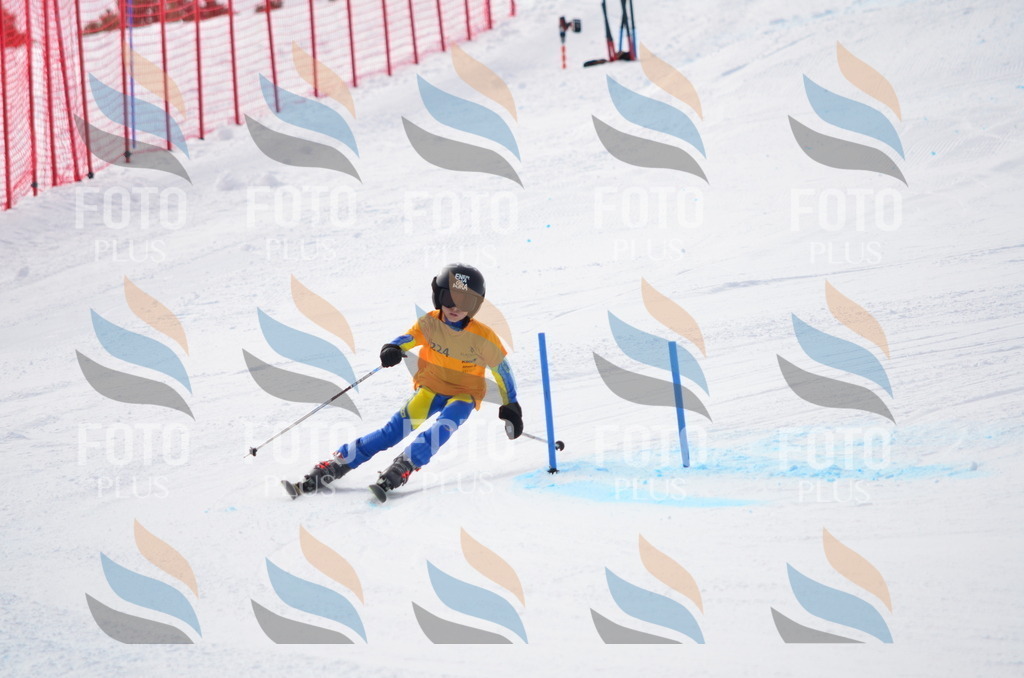 C8261 | holidayphoto