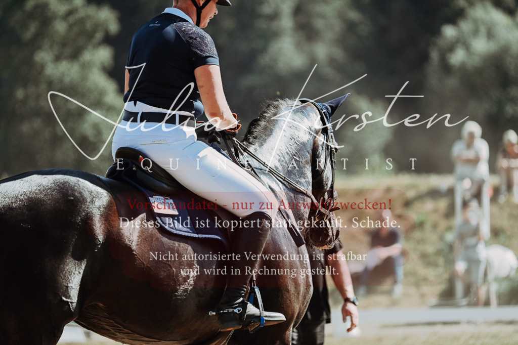 DSC_9878 | Pferde- und Turnierfotografie in Westsachsen. Pferdeportraits, Auftragszeichnungen und intuitive Kunst.