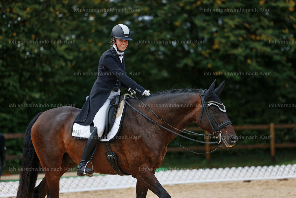 8_2-088-DRESSUR S_  -StoibPH-4451 | working equitationturnier fotograf videograf stoibphotography marixx film working equitation deutschland reitsport turnierfotografie eventfotografie equestrian events