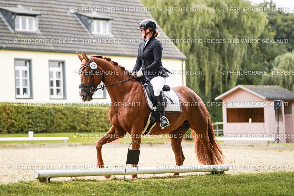 DSC08203 | Pferdegrafie