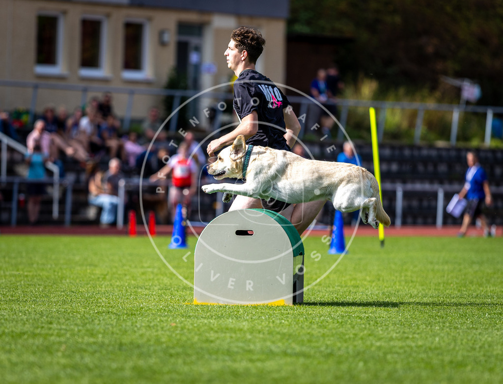 Pfotenfotografie_DV3A0956 | Hundefotografie, Tierfotograf, Pfotenfotografie, Fotoshooting Hund, Hunde Portrait, Hundesport, Hundeportraits, Heideshooting, Hunde, Sportfotograf, Hundefotograf, Turnierhundsport, THS,  - Realisiert mit Pictrs.com