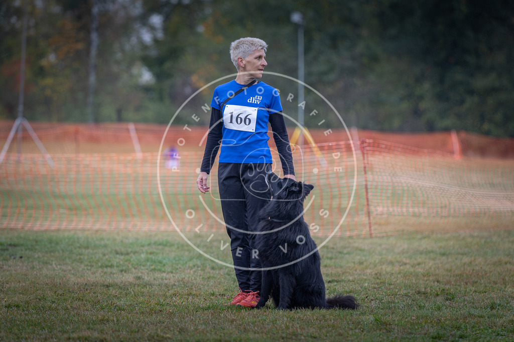 Pfotenfotografie_DV3A8957 | Hundefotografie, Tierfotograf, Pfotenfotografie, Fotoshooting Hund, Hunde Portrait, Hundesport, Hundeportraits, Heideshooting, Hunde, Sportfotograf, Hundefotograf, Turnierhundsport, THS,  - Realisiert mit Pictrs.com