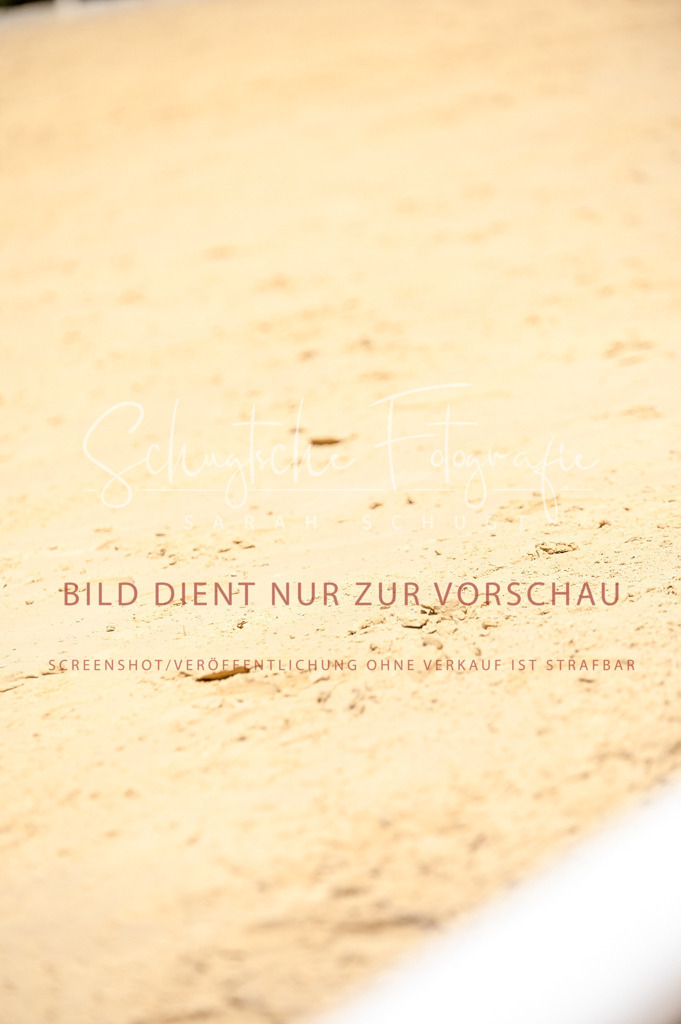 Schugtsche-Aluta25-49.Dressurpferdeprf.A-156 | Schugtsche Fotografie - Realisiert mit Pictrs.com