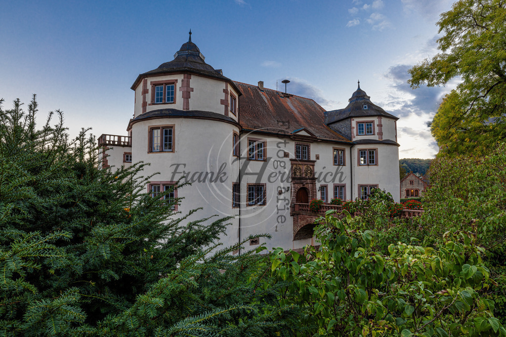 Hardheim Odenwald Schloss | Frank Herberich Fotografie, Frank Herberich, Fotografie, Hochzeit, Portrait, St. Peter Ording, Ording, Westerhever, Nordsee, Frank Fotografie, Hardheim,  Odenwald,Walldürn, Band,Eventfotografie - Realisiert mit Pictrs.com