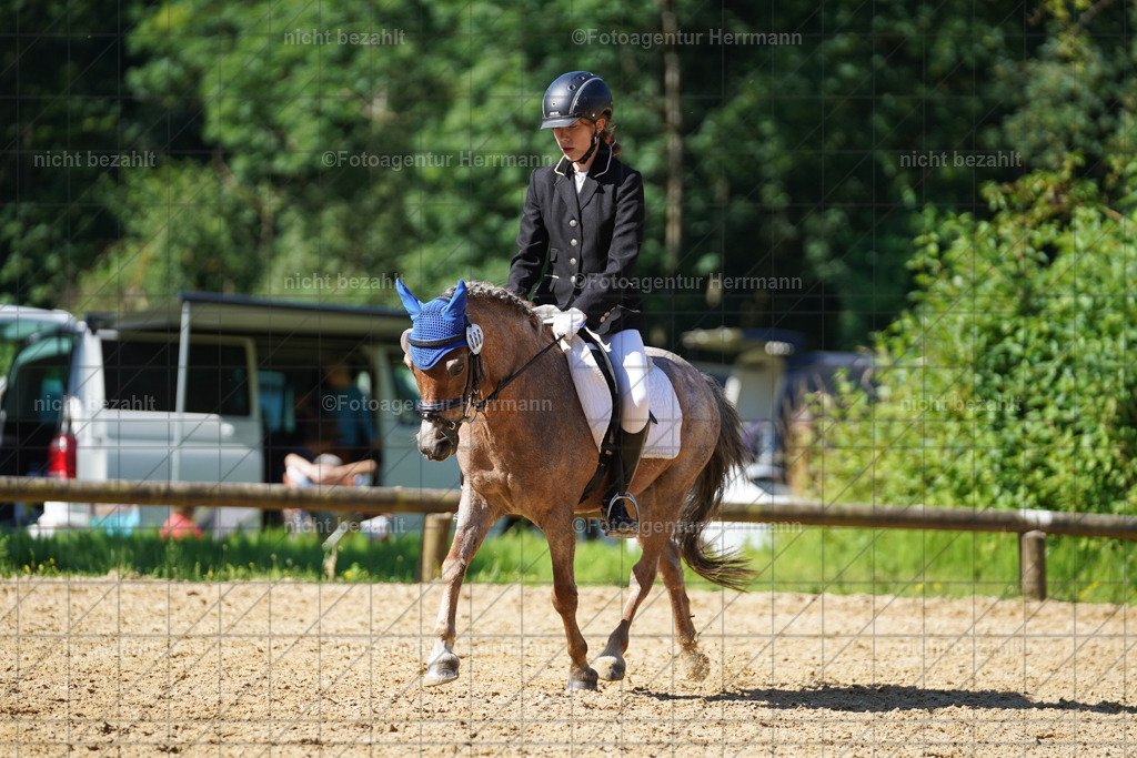 20240706-FAH04722 | Grafing Turnierfotos, Reitverein Ebersberg, Turnierfotografen Bayern, reitsportbilder, Pferdefotograf, reitsportfotograf, Sportbilder, Reitsportfotografie, Fotoagentur Herrmann, Turnierfotograf