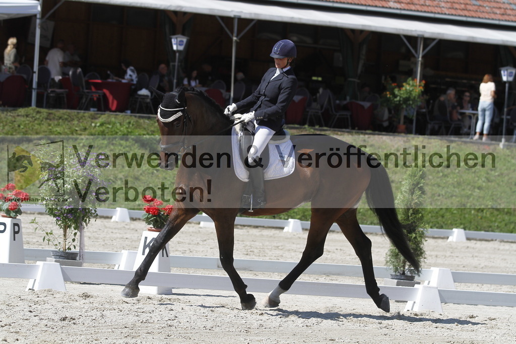 _MG_0012 | equestrian-live-com