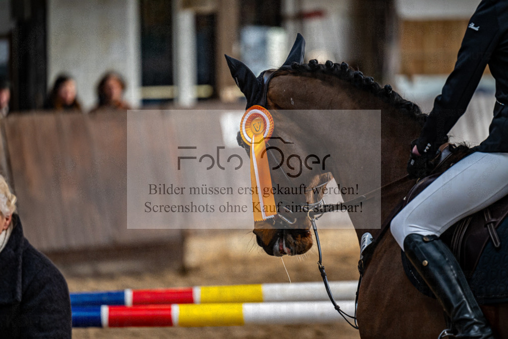 20240309-DOS_5779 | Entdecke hochwertige Reitturnierfotos von Foto Oger. Professionell, emotional und authentisch – jetzt Lieblingsmomente im Shop bestellen.Deutschlandweite Turnierfotografie. - Realisiert mit Pictrs.com