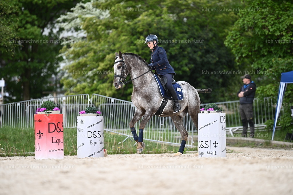 PI26_ST_Sara_Landvogt226_3245.JPG | working equitationturnier fotograf videograf stoibphotography marixx film working equitation deutschland reitsport turnierfotografie eventfotografie equestrian events