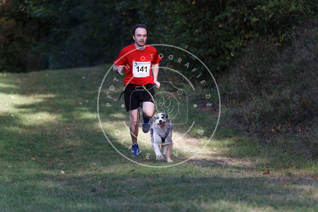 0L8A5110 | Hundefotografie, Tierfotograf, Pfotenfotografie, Fotoshooting Hund, Hunde Portrait, Hundesport, Hundeportraits, Heideshooting, Hunde, Sportfotograf, Hundefotograf, Turnierhundsport, THS,  - Realisiert mit Pictrs.com