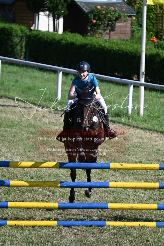 DSC_2361 | Pferde- und Turnierfotografie in Westsachsen. Pferdeportraits, Auftragszeichnungen und intuitive Kunst.