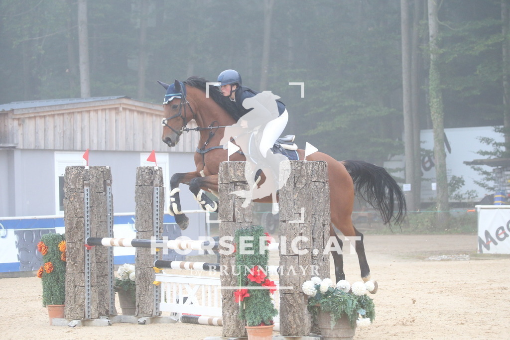 DL2Q2817 | Willkommen bei Brunnmayr - Design & Fotografie – Ihrem Spezialisten für Reitturniere und Pferdeveranstaltungen in Oberösterreich, Salzburg und Bayern! Seit über 17 Jahren sind wir leidenschaftlich dabei.