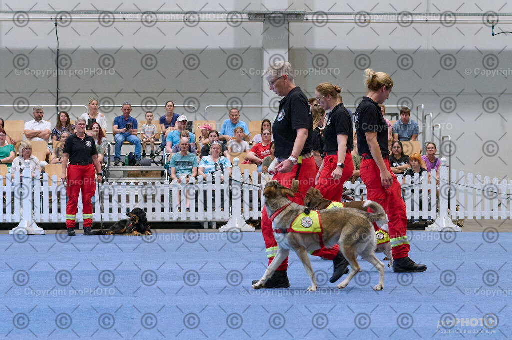 202406_ÖKV-IHA-Tulln24_DSC_3434 | proPHOTO - Realisiert mit Pictrs.com