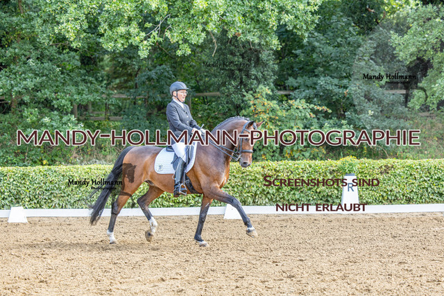 16.8.25 D1 DRE M-155 | mandyhollmannphotographie