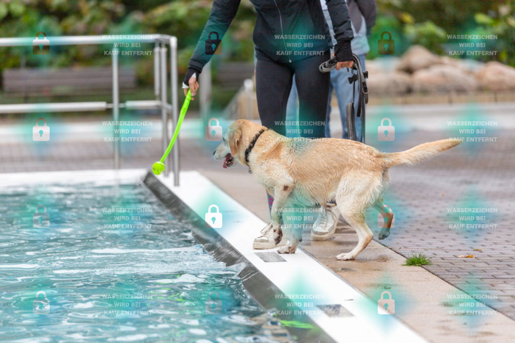 _HP_7133_1000o | HetPix, HetPix Fotodesign, Fotografie, Fotodesign, Webshop, Sportfotografie, Portraitfotografie, Onlineshop, Sportfotografie, Polch, Motorsportfotografie, Eventfotografie