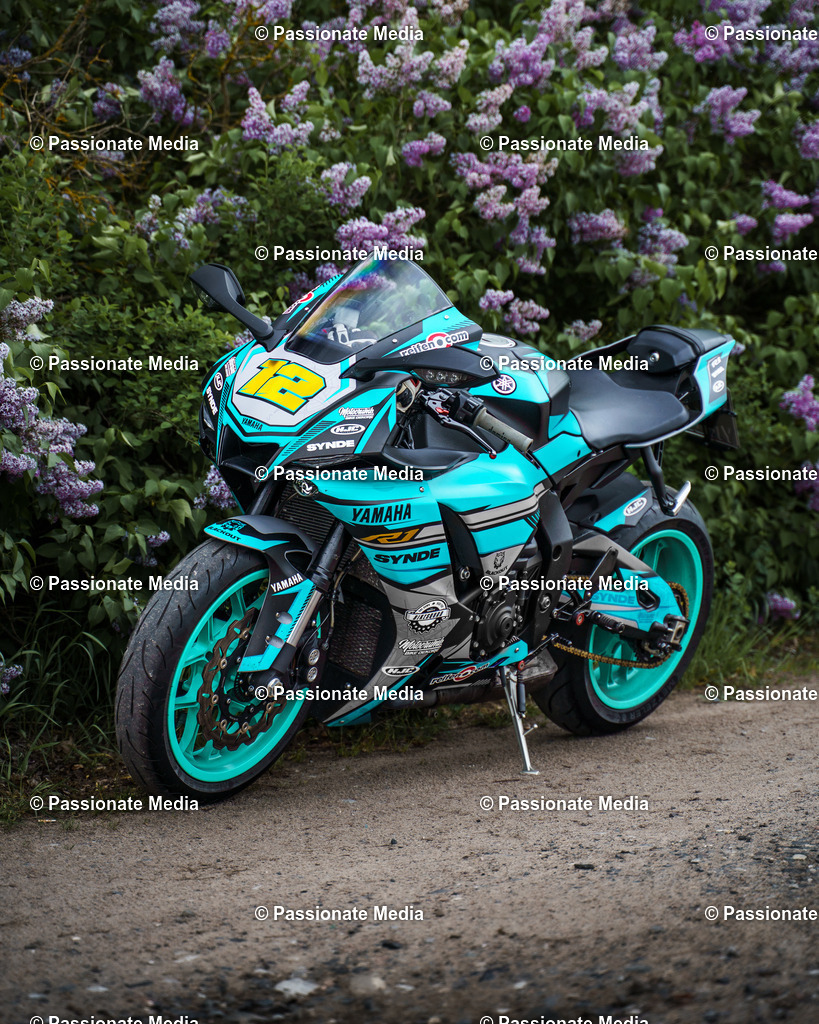 _DSC8175 | Passionate Media, dein Fotograf aus Brandenburg, Märkisch Oderland, im Bereich Motorsport, Autos und Motorräder sowie Events und auch Hunde. Shootings oder auch Eventbegleitungen können bei mir gebucht we