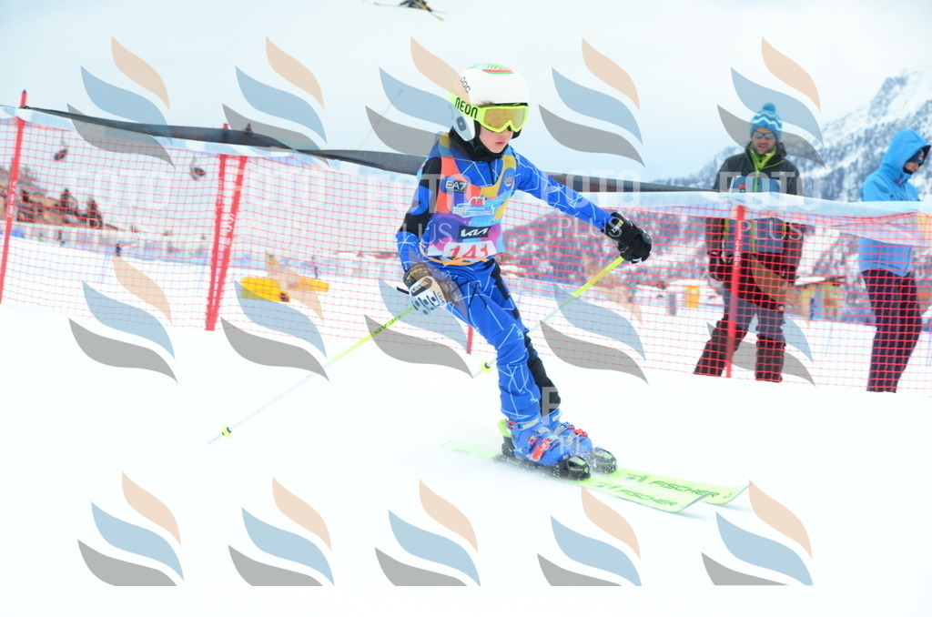 DSC_1397 | holidayphoto