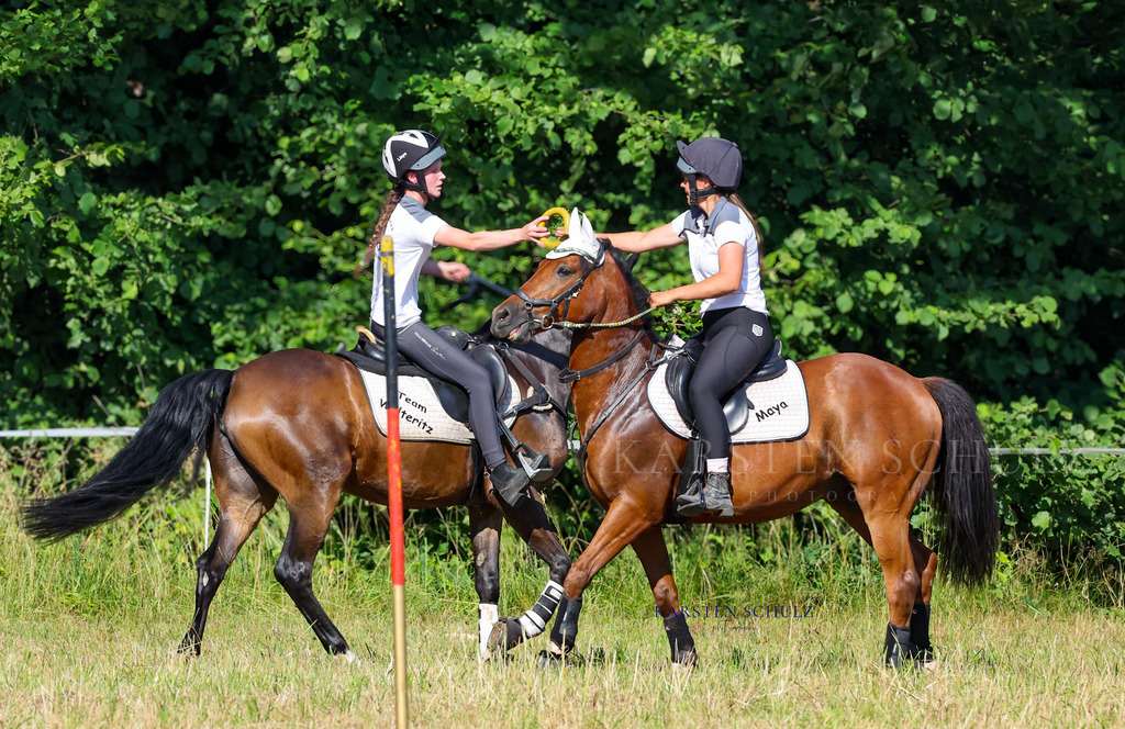 1B3A8312 | Reitsport Reiten