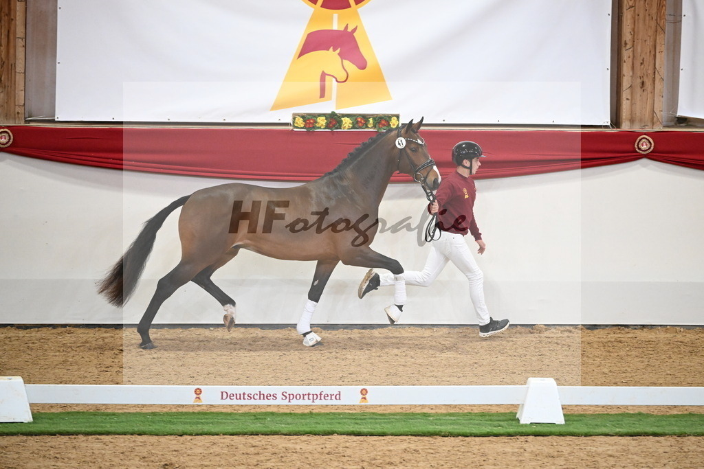 Kat.-Nr. 41 v. Baccardi_s Best_Beckmann_2250005 | hf-fotografie - Realisiert mit Pictrs.com