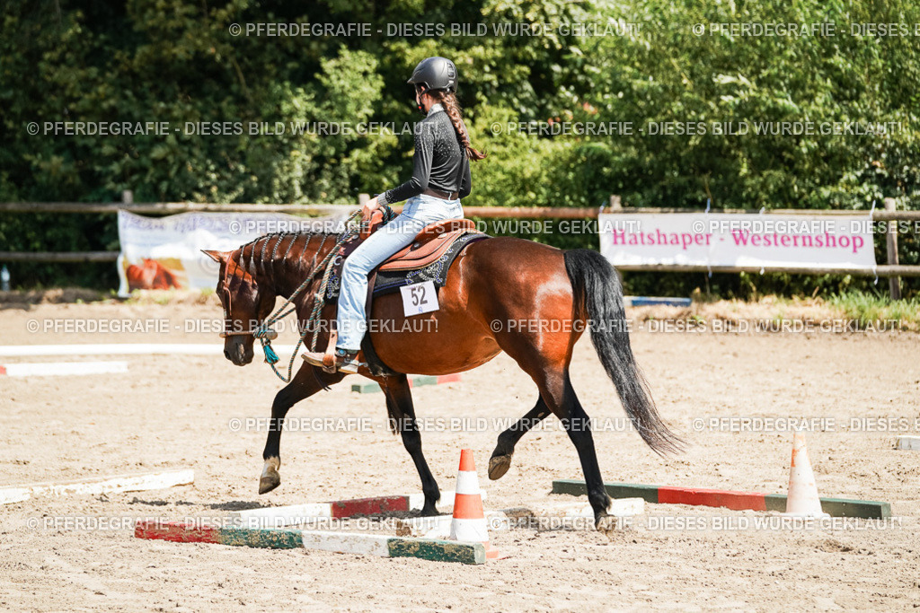 DSC07617 | Pferdegrafie