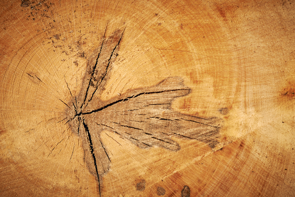 Risse im Holz | Wien, Austria - March 08, 2014: Risse im Holz. - Realisiert mit Pictrs.com