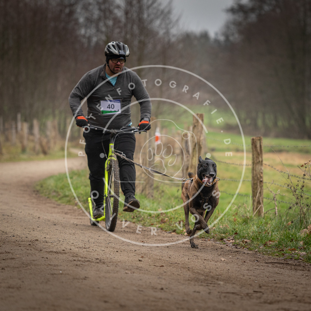 Pfotenfotografie_DV3A2571 | Hundefotografie, Tierfotograf, Pfotenfotografie, Fotoshooting Hund, Hunde Portrait, Hundesport, Hundeportraits, Heideshooting, Hunde, Sportfotograf, Hundefotograf, Turnierhundsport, THS,  - Realisiert mit Pictrs.com