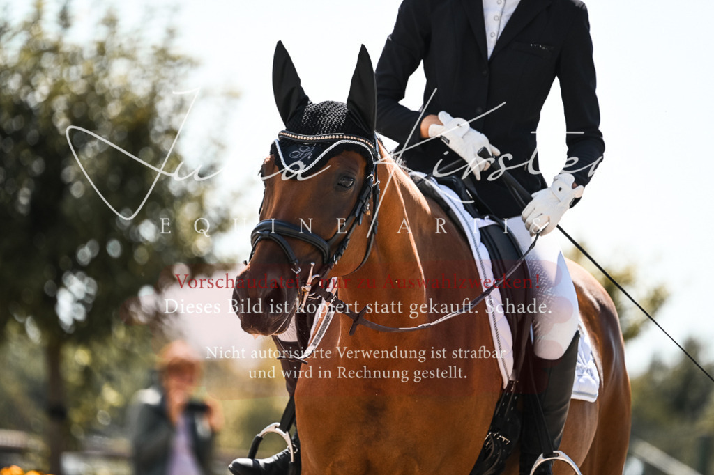DSC_5514 | Pferde- und Turnierfotografie in Westsachsen. Pferdeportraits, Auftragszeichnungen und intuitive Kunst.