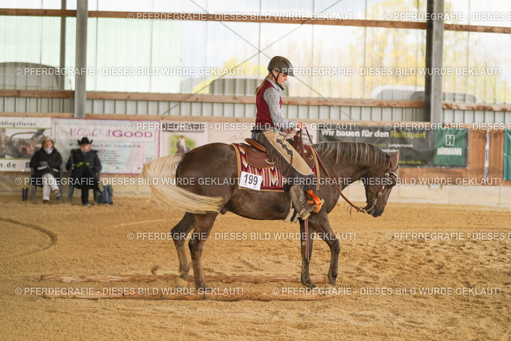 DSC05588 | Pferdegrafie