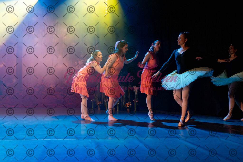 Ballettaufführung-72 | Bildershop Lem'n Entertainment - Realisiert mit Pictrs.com