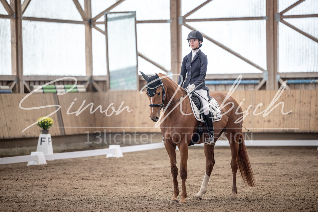 20251011-_3LI0134 | Tierfotografie Pferde, Hunde, Katzen, Haustiere.
Turnierfotografie Reitturniere, Reiten, Springreiten, Dressur in Hanau, dem Main-Kinzig-Kreis und dem Rhein-Main- Gebiet um Frankfurt