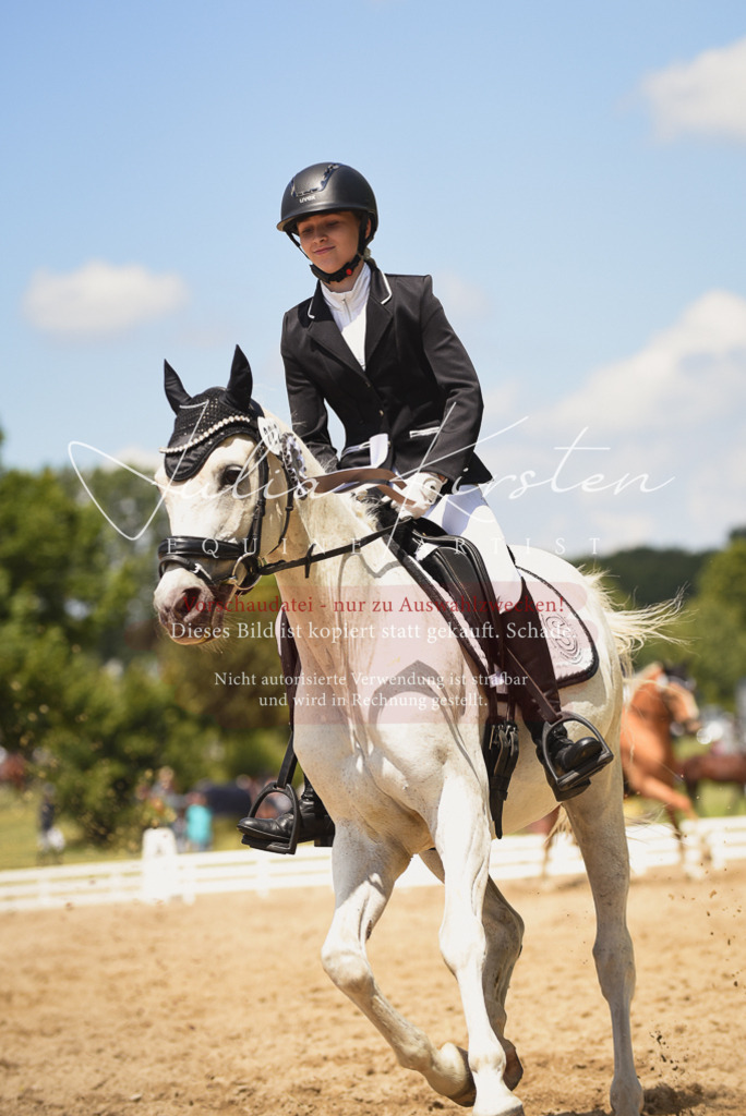 DSC_1627 | Pferde- und Turnierfotografie in Westsachsen. Pferdeportraits, Auftragszeichnungen und intuitive Kunst.