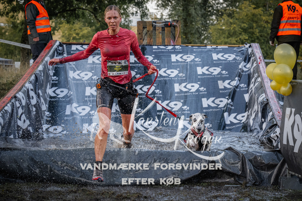 1514_ZZ94304 | kk-dogfotos