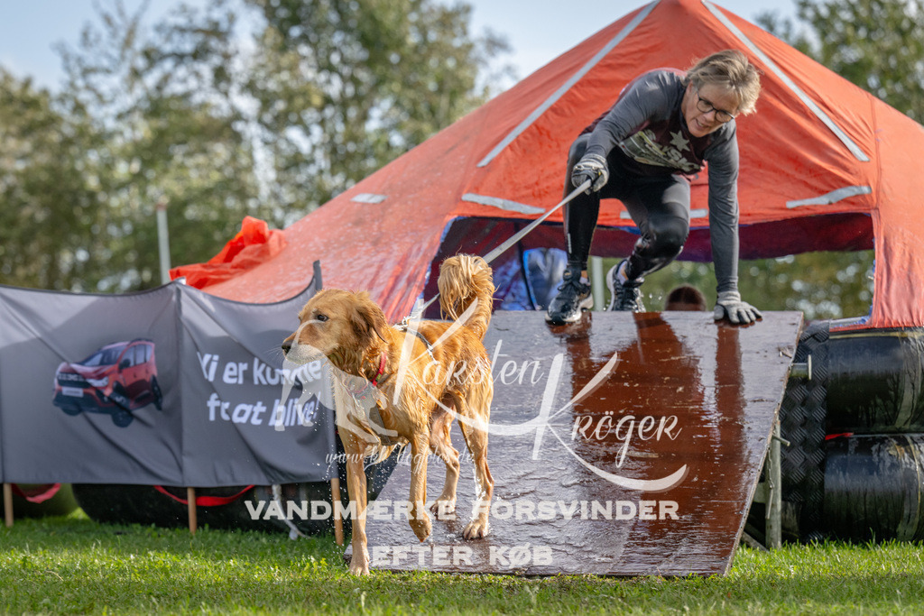 1213-92850 | kk-dogfotos