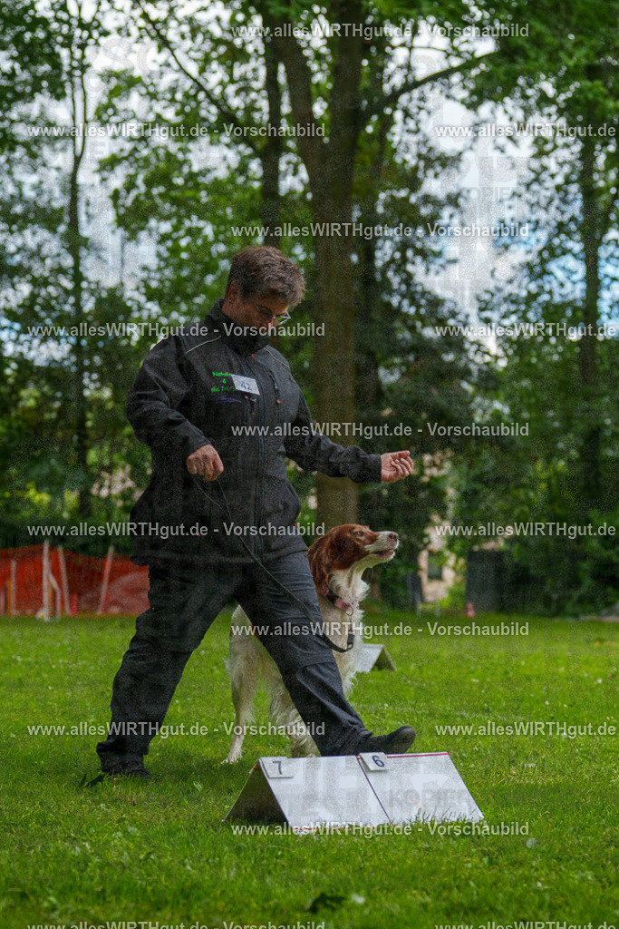 @allesWIRTHgut_Tierfotografie - www.allesWIRTHgut.de - 131413-7R509936 | Professionelle Tierfotografie in Mönchengladbach von Daniel Wirth (allesWIRTHgut). Liebevolle & natürliche Bilder von Hunden & Katzen für unvergessliche Erinnerungen.