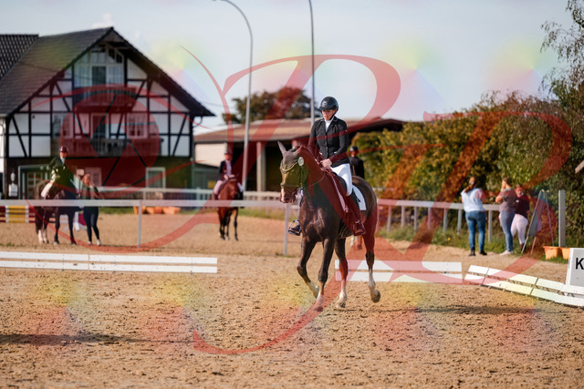 2026_10_03_Siefer-Hof_132314_Z63_84600716 | Professionelle Reitsport-, Turnier- und Eventfotografie von Robert Broda. Galerien mit ausgewählten und bearbeiteten Bildern direkt online ansehen und bestellen.