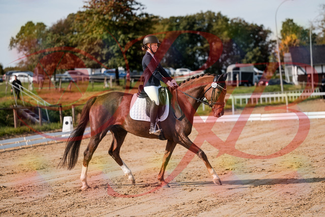 2026_10_03_Siefer-Hof_114721_Z63_25894845 | Professionelle Reitsport-, Turnier- und Eventfotografie von Robert Broda. Galerien mit ausgewählten und bearbeiteten Bildern direkt online ansehen und bestellen.