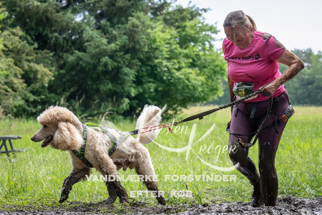 1106_ZZ91537 | kk-dogfotos