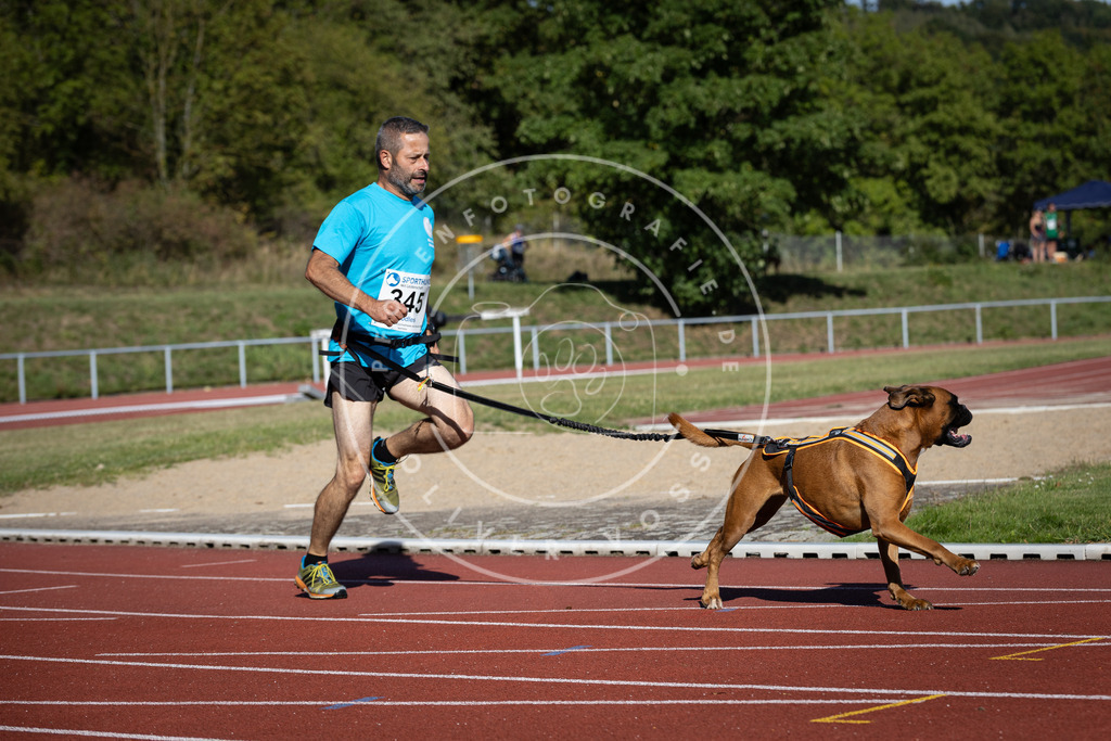 Pfotenfotografie_DV3A8383 | Hundefotografie, Tierfotograf, Pfotenfotografie, Fotoshooting Hund, Hunde Portrait, Hundesport, Hundeportraits, Heideshooting, Hunde, Sportfotograf, Hundefotograf, Turnierhundsport, THS,  - Realisiert mit Pictrs.com
