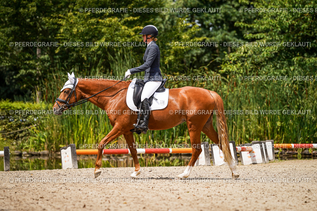 DSC03174 | Pferdegrafie