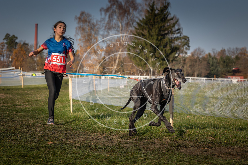 CaniXpix_0L8A9245 | Hundefotografie, Tierfotograf, Pfotenfotografie, Fotoshooting Hund, Hunde Portrait, Hundesport, Hundeportraits, Heideshooting, Hunde, Sportfotograf, Hundefotograf, Turnierhundsport, THS,  - Realisiert mit Pictrs.com