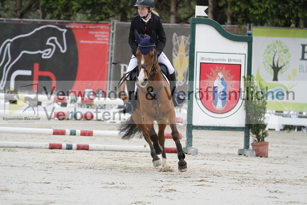 _MG_5532 | equestrian-live-com