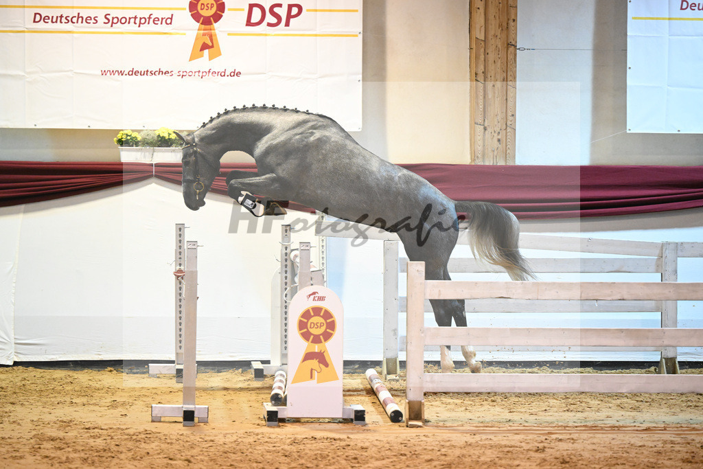 Kat-Nr. 55 v. Vingino_Bachl_66221239 | hf-fotografie - Realizzato con Pictrs.com