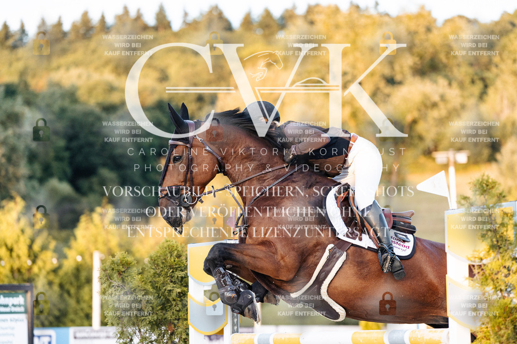 CK901239 | Turnierfotografie Pferdefotografie Trier Rheinland-Pfalz Pferdesport Reitsport Tierfotografie Sportfotografie Pferdevideo Pferdevideografie Equestrianvideography equestrianphotography  - Realisiert mit Pictrs.com