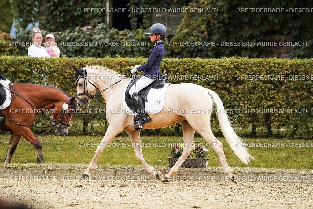 DSC00345 | Pferdegrafie