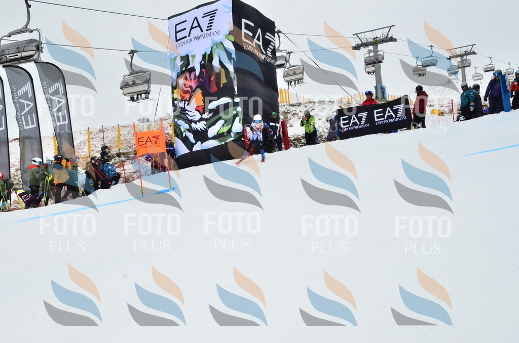 _ELE3333 | holidayphoto