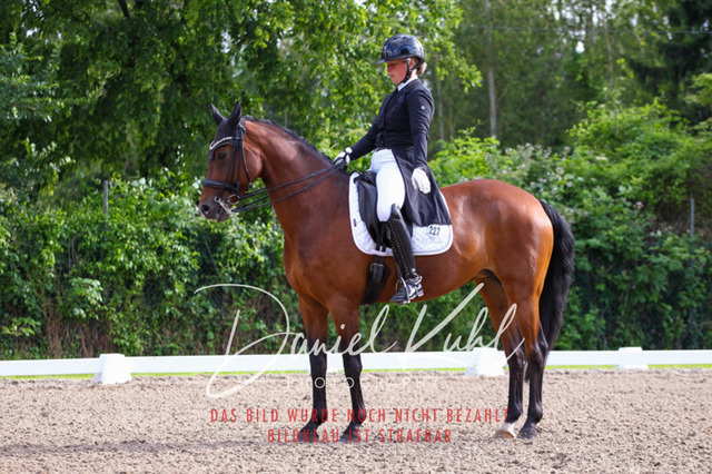DKP41614 | Turnierfotos kaufen im Webshop von Daniel Kuhl Photography – entdecke professionelle Reitsportfotos aus Turnieren & Events. Hochwertige Turnierbilder online bestellen & sichern. Jetzt Fotos von Reitsportturnieren kaufen!