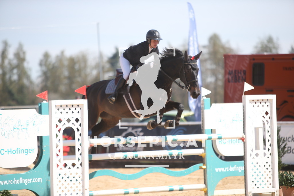 PP014101 | Willkommen bei Brunnmayr - Design & Fotografie – Ihrem Spezialisten für Reitturniere und Pferdeveranstaltungen in Oberösterreich, Salzburg und Bayern! Seit über 17 Jahren sind wir leidenschaftlich dabei.