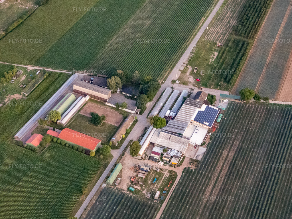 Luftbild: Zapf Hofmarkt und Holderbühler Hof mit Uwe Nauerth - Tabak Produktion in Kandel im Bundesland Rheinland-Pfalz in Deutschland. Foto: P7130251.jpg vom 13.07.2017 durch Werner Riehm/FLY-FOTO.de