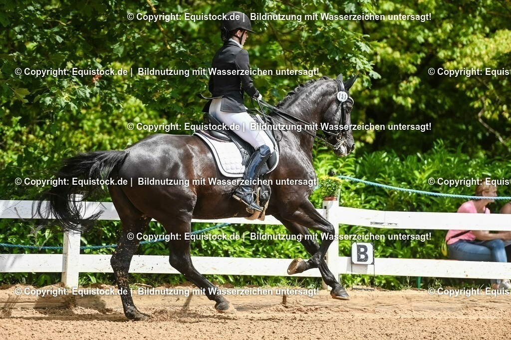 20230716_01_Dressurprüfung Kl.M_0030 | equistock