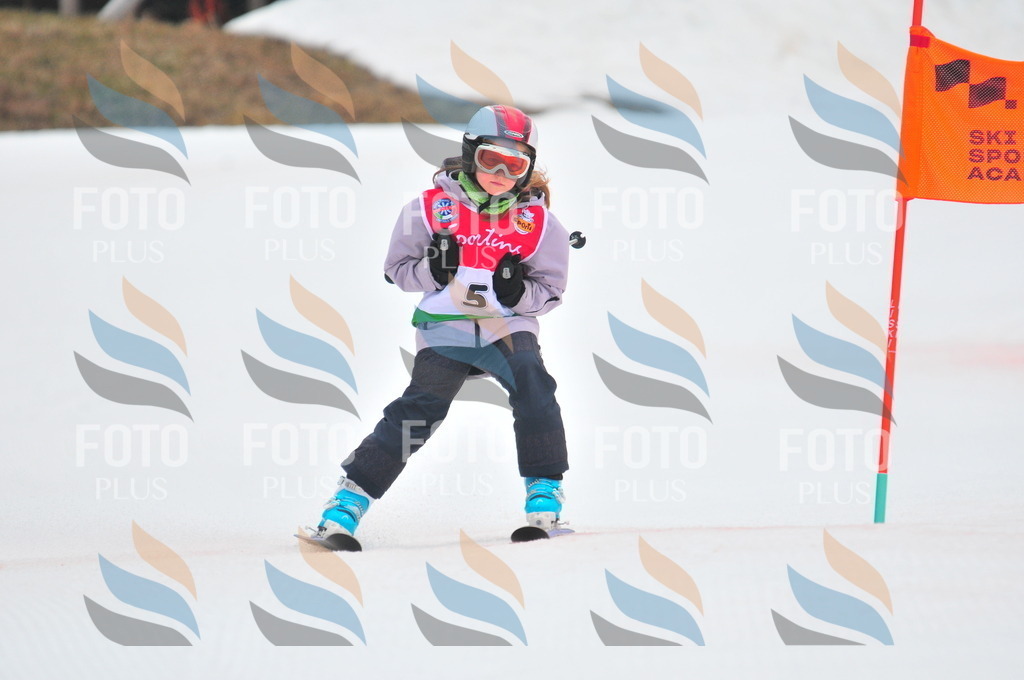 C0419 | holidayphoto